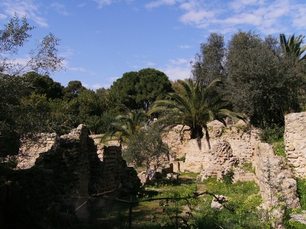 IMAG0031