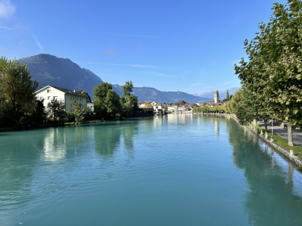 IMG 7775